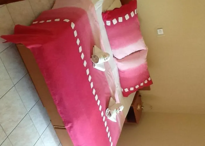 Pansion Manuela 게스트하우스 브르사르